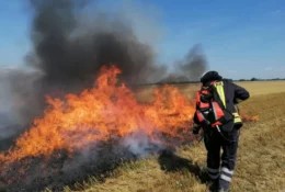 Vegetationsbrandbekämpfung